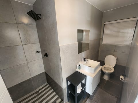 Shower, hair dryer, towels, toilet paper