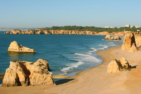 Beach nearby, white sand