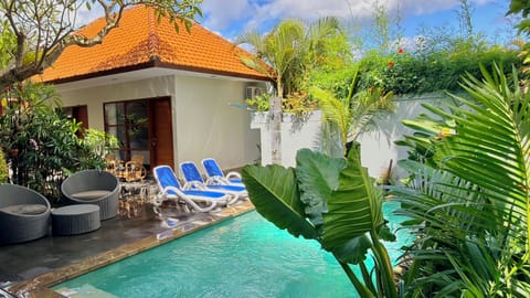 Outdoor pool, sun loungers