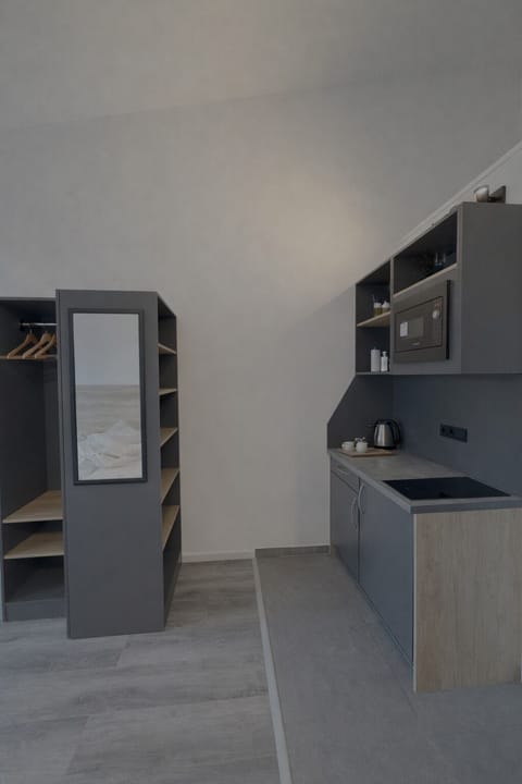 Deluxe Double Room, Kitchenette | Private kitchen | Mini-fridge, microwave