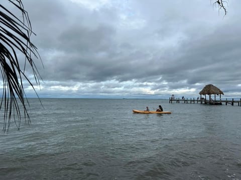 Studio, Kitchenette, Beach View | Miscellaneous