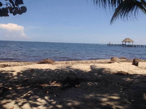 Studio, Kitchenette, Beach View | Beach | On the beach, white sand, beach towels
