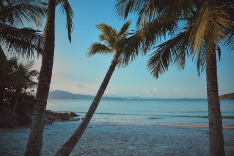 On the beach, white sand