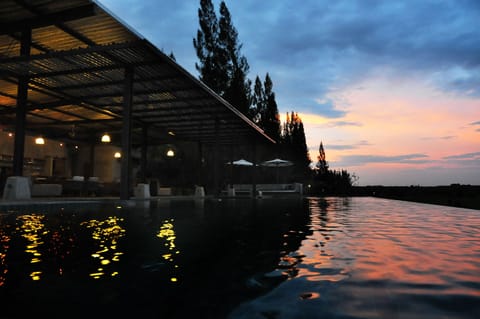Outdoor pool, pool umbrellas, sun loungers