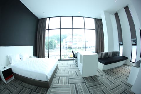 Premier Room | View from room