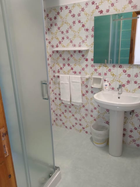 Classic Double Room | Bathroom | Hair dryer, bidet, towels