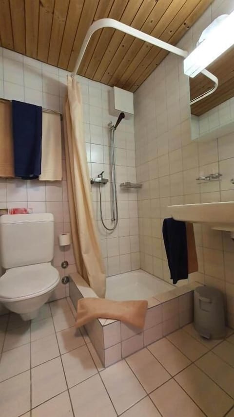 Single Room, Mountain View | Bathroom | Free toiletries, hair dryer, towels, soap