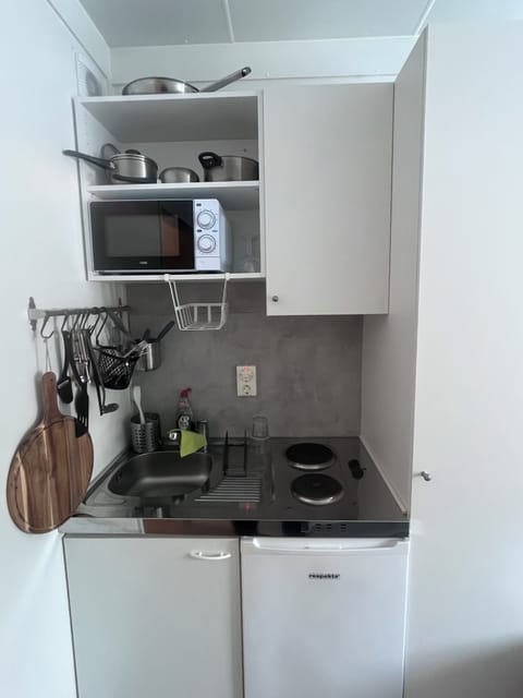 Standard Room, Courtyard View | Private kitchen | Fridge, microwave, oven, stovetop