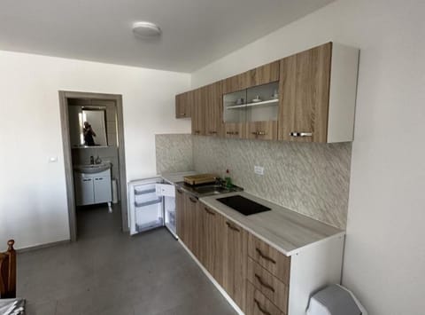 Apartment (One bedroom apartment 1) | Private kitchenette | Fridge