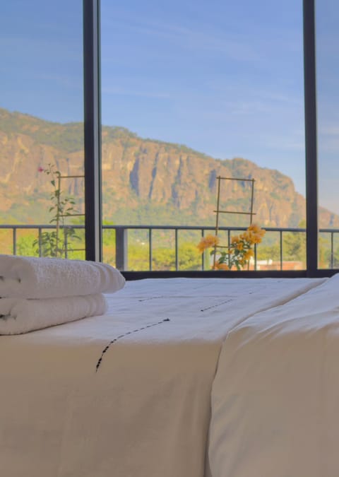 Deluxe Room, Mountain View