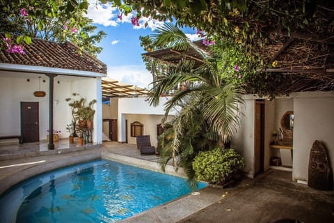 Outdoor pool, open 9:00 AM to 9:00 PM, sun loungers