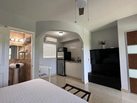 Studio, Pool View | Private kitchenette | Fridge, microwave, stovetop, cookware/dishes/utensils