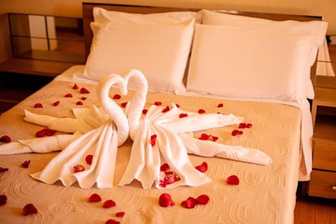 Minibar, free cribs/infant beds, rollaway beds, free WiFi