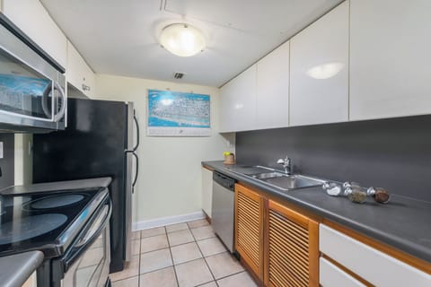 Luxury Apartment, Kitchen | Private kitchen