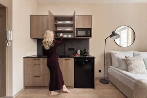 Deluxe Studio Suite, Air conditioning | Private kitchenette | Fridge, microwave, stovetop, coffee/tea maker