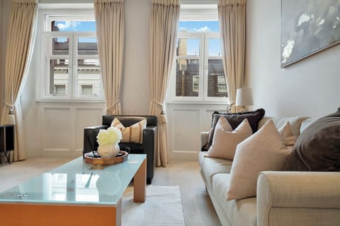 Basic Apartment | Living area