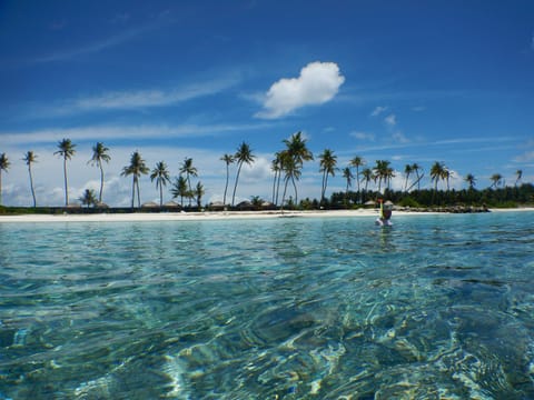 White sand, sun loungers, scuba diving, snorkeling
