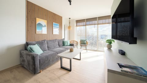 Apartment (54) | Living area | Flat-screen TV