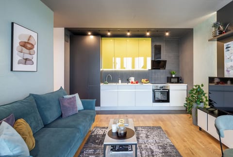 Premium Apartment | Private kitchen | Cleaning supplies, paper towels