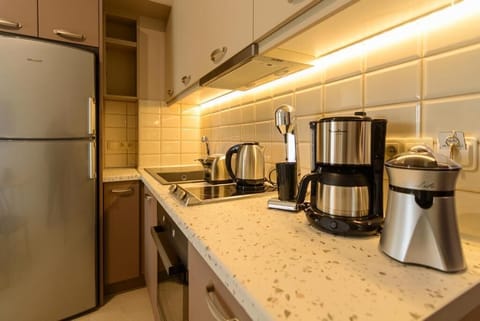 Apartment, Balcony, City View | Private kitchen