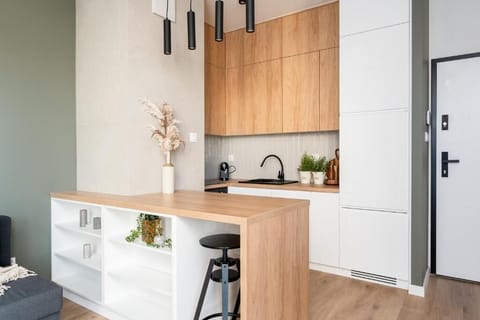 Comfort Apartment, Balcony, City View | Private kitchen