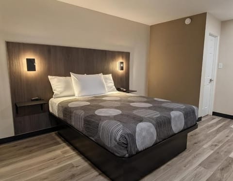 Standard Single Room | Desk, laptop workspace, WiFi (free), bed sheets