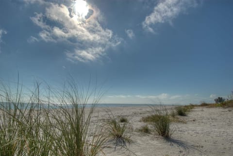 Beach nearby, white sand, sun loungers, beach umbrellas