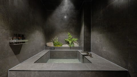 Sauna Suite | Private spa tub