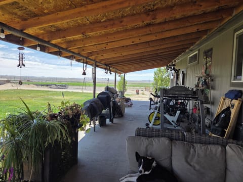 BBQ/picnic area