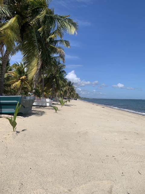 Beach nearby, fishing