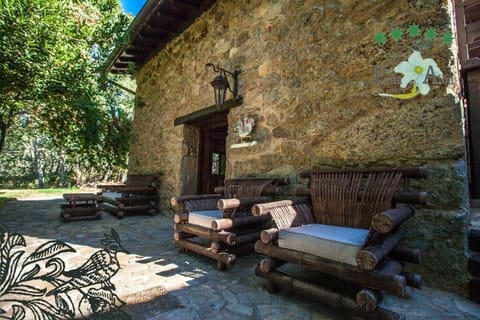 Executive Suite | Terrace/patio