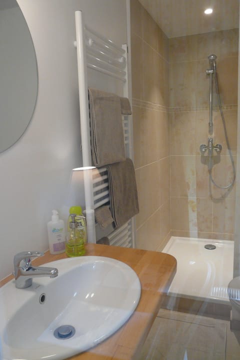 Shower, free toiletries, hair dryer, towels