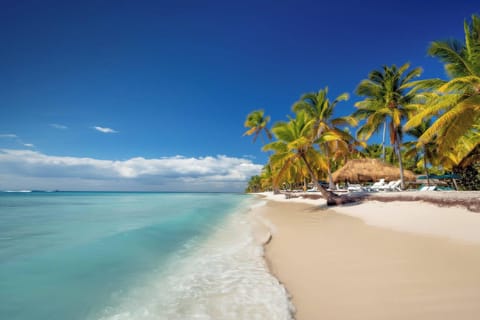 House, 3 Bedrooms, Patio | Beach