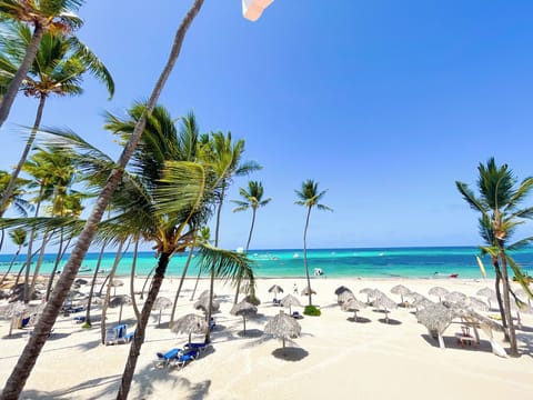 On the beach, white sand, beach massages, 4 beach bars