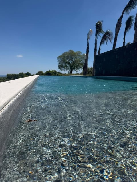 Outdoor pool, open 8:00 AM to 7:00 PM, pool umbrellas, sun loungers