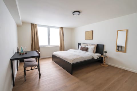 Basic Apartment | Iron/ironing board (on request), WiFi (free)