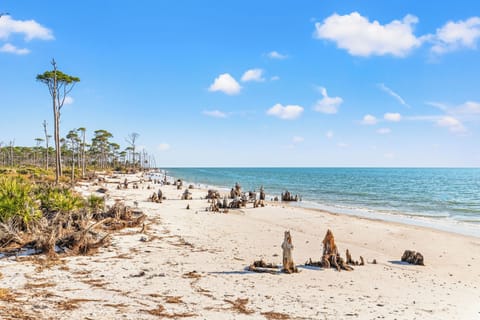 Beach nearby, white sand