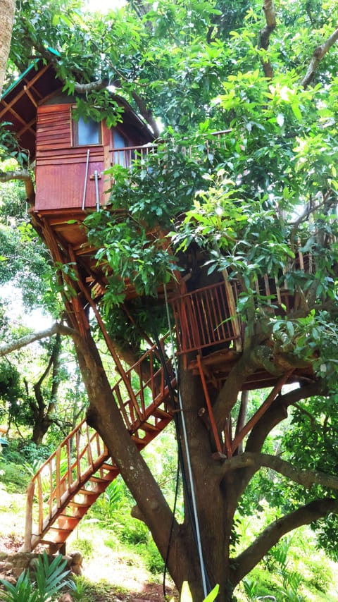 Tree House | Premium bedding, desk, free WiFi, bed sheets