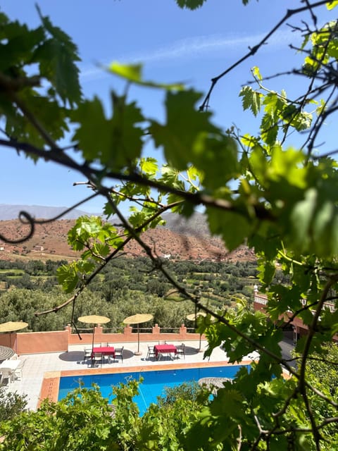 3 outdoor pools, open 8:00 AM to 6:30 PM, free cabanas, pool umbrellas
