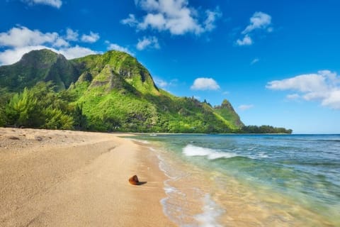 Beach nearby, white sand
