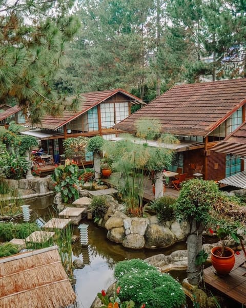 Family Villa | Property grounds