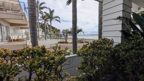 Deluxe Apartment, Patio, Ocean View | Blackout drapes, soundproofing, iron/ironing board, free WiFi