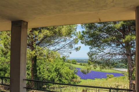 Villa, 2 Bedrooms, Kitchen | Property grounds