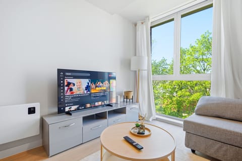 Luxury Apartment, 1 King Bed with Sofa bed, Non Smoking, Kitchenette | Television