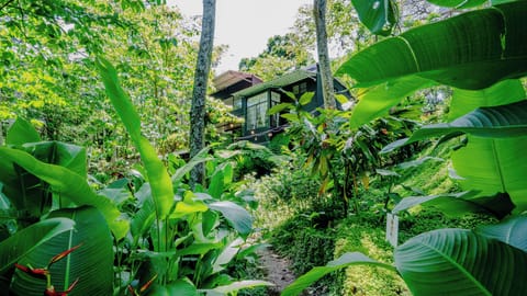 Botania: One of a kind signature villas, 2 cabines, botanic paradise | Garden view