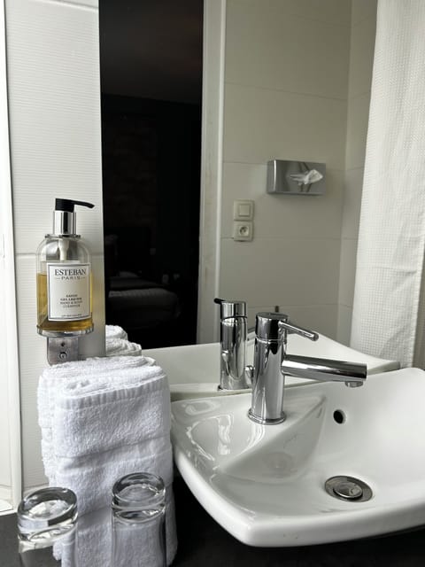 Deluxe Double Room | Bathroom | Free toiletries, towels
