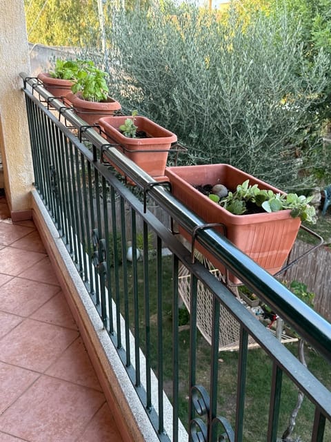 Apartment, 2 Bedrooms, Terrace | Balcony