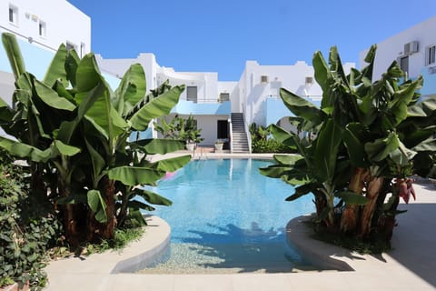 Seasonal outdoor pool, pool umbrellas, sun loungers
