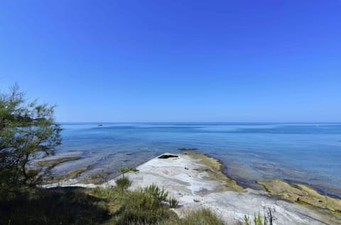 Apartment, 2 Bedrooms, Patio, Garden View | Beach