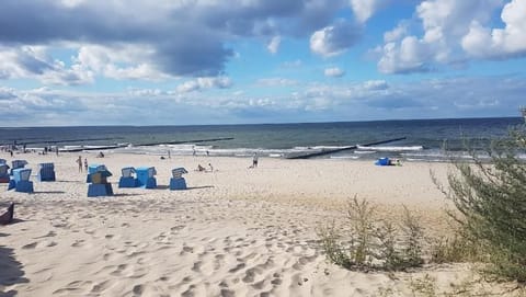 Apartment, 2 Bedrooms | Beach